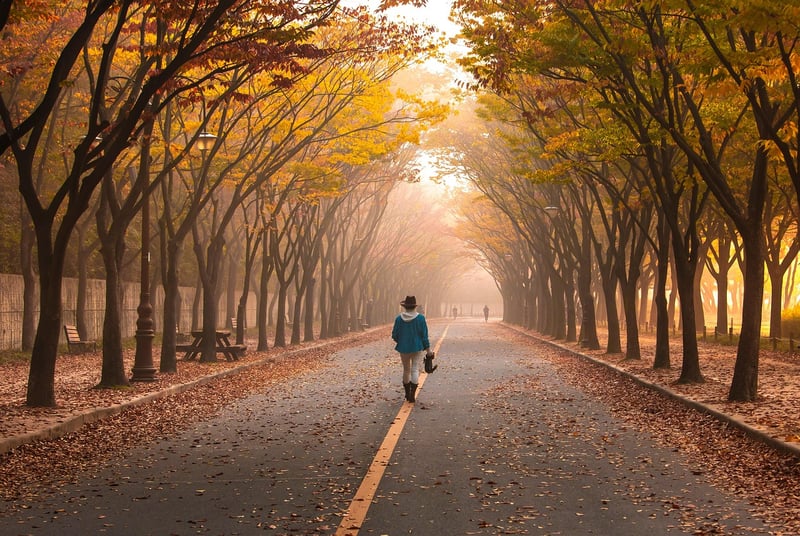 Inspiring Road Image